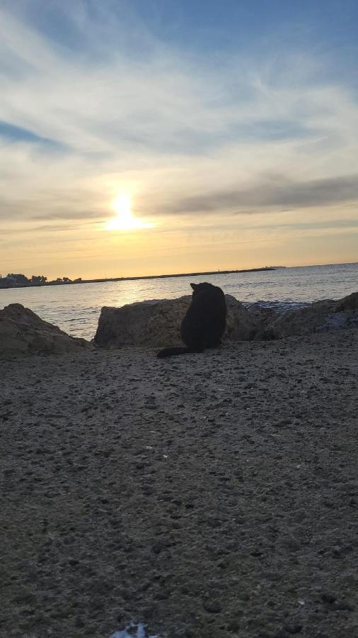 Prachtig Gemoderniseerde Woning Op 250 Meter Van Het Strand Santa Pola Exteriör bild